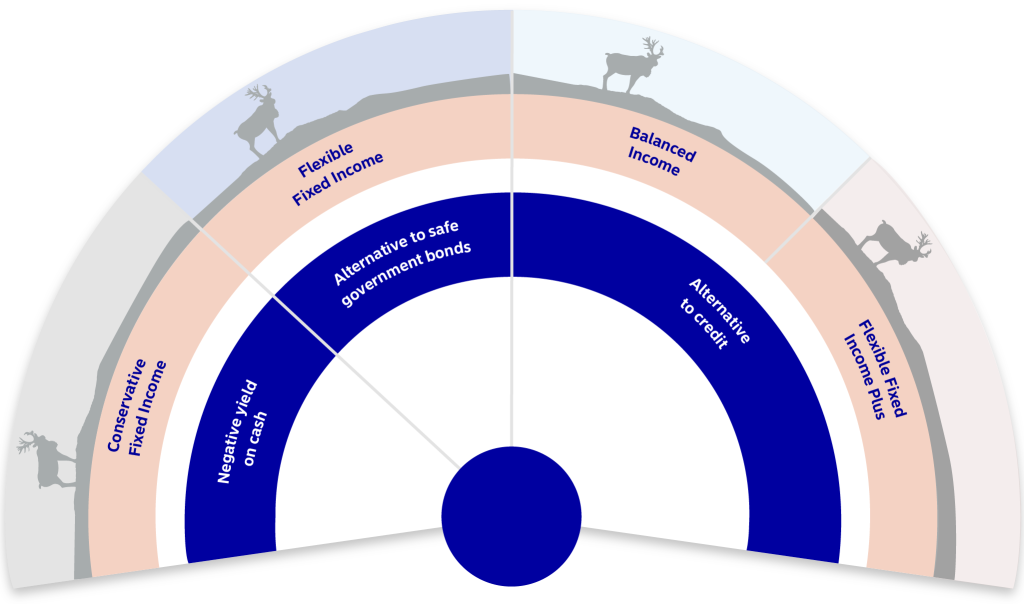 Balanced Income Fund 2